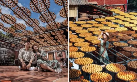 Du lịch Đài Loan miễn phí dịp cuối năm - Ưu đãi có hạn